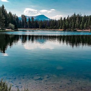 Meet your Posher, Cory